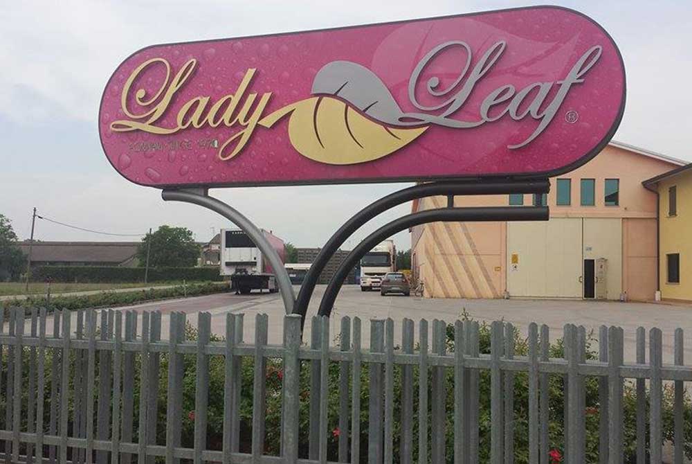 ladyleaf